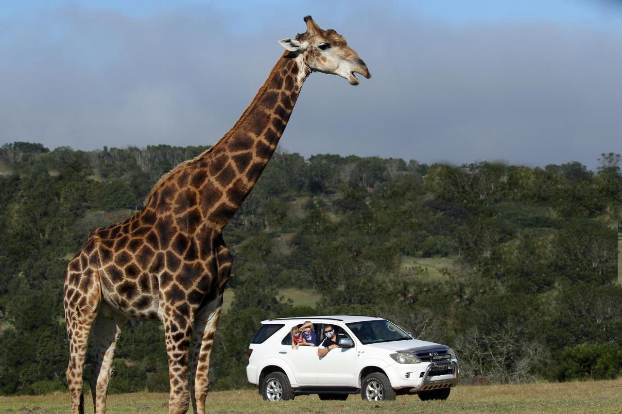 فيلا بورت اليزابيثفي Kragga Kamma Game Park المظهر الخارجي الصورة